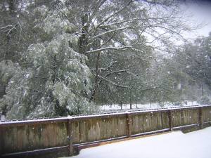 Snow in Citronelle Feb 2011